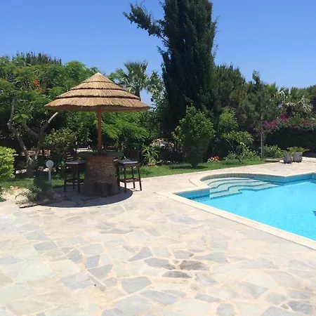 In With A Pool!
